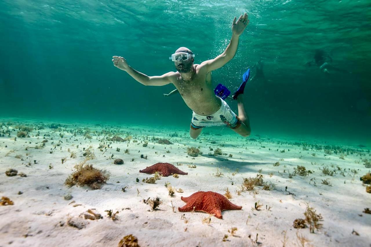 Albatros By Bedsfriends (Adults Only) Hotel Cozumel Bagian luar foto